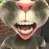 Talking Tom Chinese Song