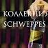 Капсульная коллекция коктейлей Schweppes Savory