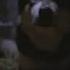 The Thing Movie First Dog Scene