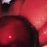 Paparazzi Ladygaga SLOWED REVERB