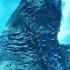 Arrival Of Godzilla In NYC Fishing Scene Godzilla Rises Scene Godzilla 1998 Movie Clip HD