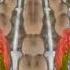Cadbury S Creme Egg Here Today Goo Tomorrow 2008 UK In Confusion G Major 4