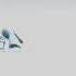 Xilam Animation Logo HD In Original G Major 9
