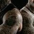 Ragnar Lothbrock
