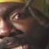Louie Culture Too Much Pressure On The Donkey Back Official Music Video Reggae Gold 2021