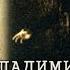 Театр на Таганке Владимир Высоцкий в спектакле Гамлет фрагменты