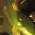 Maroni Moreno Wolfgang Schmid Oli Wendt S CuBop Funk