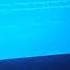 Ми ми мишки Грибы и листья Has BSOD