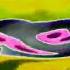 Gummy Bear Old Russian In G Major 355 A Major G Major 100 Does Respond G Major 4 Pika Major