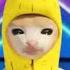 Banana Cat Sings Happy Happy Song At America S Got Talent
