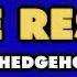 Sonic The Hedgehog 2 Game Results Remix
