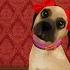DogWorld My Cute Puppy Best Puppy Game App For Kids Part 2