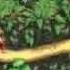 Donkey Kong Country GBA Japanese Promotional Trailer