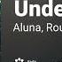 Aluna Route 94 Underwater