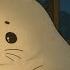 Study W Harp Seal Harp Lo Fi 1 Hour Loop