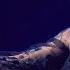 Floor Jansen Winner Live
