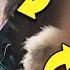 THE THING 2011 Breakdown Ending Explained Hidden Details And Things You Missed