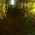 Mthu It S Like I M Not Even Here Instrumental Slowed 1 Hour