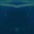 Walt Disney Pictures 2006 In G Major 19