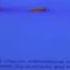 United Plankton Pictures Inc Nickelodeon Productions Paramount Television 2015