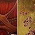 Attack On Titan 2 Final Battle All Bosses Ending Season 3 Part 2