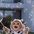 My Balloon Slipped Away Papa Cat Turned My Tears Into Bubbles