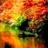 BLONKER SIDEWALK CAFE AUTUMN SPLENDORS