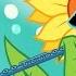 Rainbow S Nightmare Sunflowers Sunflower Song This Happy Flowers