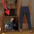 SCHOOLBOY RUNAWAY STEALTH New Place To Hide FULL GAMEPLAY