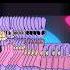 LOOPING THE ROOMS Trendd Tadc Loopingtherooms Jax