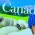 Mike The Knight 2013 End Credits