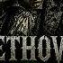 Beethoven X DarkClassiMetal 40 Min Fury Focus Session Dark Gothic Symphony