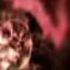 Doctor Who Clean Titles 2005 2009 Series TRUE CLEAN TITLES NO CUTTING