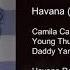 Havana Extended Remix