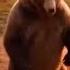 In Da Club Russian Village Version Extended BassBoosted Reverb Altdigitals Music