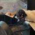 Zack S Got Your Back VR Flight Simulator Shorts Vr Newtech