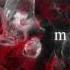 東方自作アレンジ Memento Mori 原曲 大神神話伝 Omiwa Legend