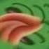 Zoopals In Reverse Slower