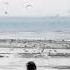 Mischa Daniels Run Awa Original Mix