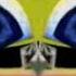 Klasky Csupo In G Minor 677 Tried To Be Normal