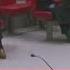 Video Captures Moments 4 8 Magnitude Earthquake Rattles NYC
