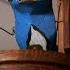 Cuckoo Clocks Handcrafted America
