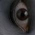 The Grudge 2 2006 TV Spot House 30 Sec
