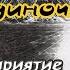 Пыта Одиночка Audio
