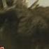 Godzilla Vs Megalon 1973 Anguirus Screen Time
