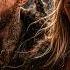 Laga Ft Ragalor UNBROKEN WILL Epic Viking Rap Viking Song