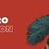 Pablo Fierro Reincarnation