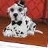 DogWorld 3D Mein Dalmatiner IPad IPhone IPod Touch App
