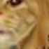 Mad Cat Burger And Fries Content Aware Scale
