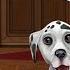 DogWorld 3D My Puppy Tivola Android İos Free Game GAMEPLAY VİDEO